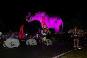 BIB: 
                            <button type="button" onclick="openModal(26543429)" class="btn btn-primary btn-sm float-right btn-popup" data-toggle="modal" data-target=".modal-high-quality">
                        <i class="fas fa-shopping-cart"></i> Add to Cart
                    </button>
                                            <button type="button" onclick="isThisMe(26543429, true)" class="btn btn-success btn-sm float-right btn-popup btn-isme hidden" data-toggle="tooltip" data-placement="bottom" title="นี่คือรูปของคุณใช่ไหม คลิกที่นี่เพื่อเอาเข้าอัลบั้ม">
                        <i class="fas fa-plus"></i> Add to album
                    </button>
                    <button type="button" onclick="isThisMe(26543429, false)" class="btn btn-warning btn-sm float-right btn-popup btn-isnotme hidden">
                        <i class="fas fa-ban"></i> Remove from album
                    </button>